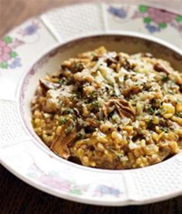 Porcini and Cacao Risotto