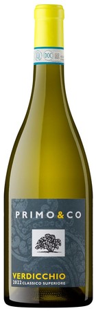 Verdicchio Classico Superiore 2022